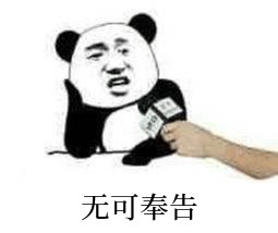 熊猫头接受采访