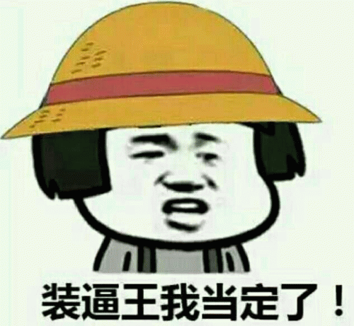 装逼王我当定了！