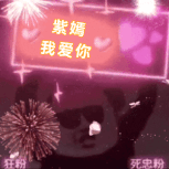 烟花闪光灯举牌(VIP)